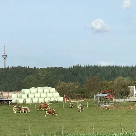Ferienwohnung Ute * 후트겐발트